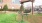 a tennis racket on the grass
